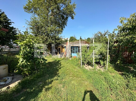 Casa de închiriat 3 camere Lipovei - 127179CI | BLITZ Timișoara | Poza8