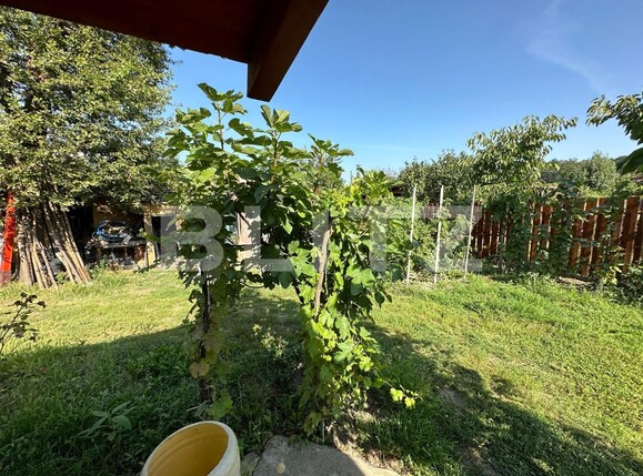 Casa de închiriat 3 camere Lipovei - 127179CI | BLITZ Timișoara | Poza9