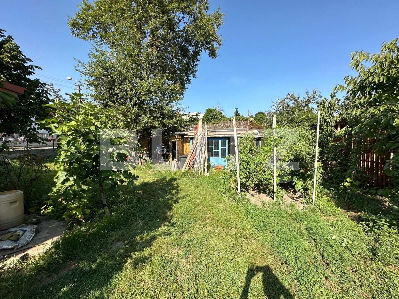 Casa de închiriat 3 camere Lipovei - 127179CI | BLITZ Timișoara | Poza8