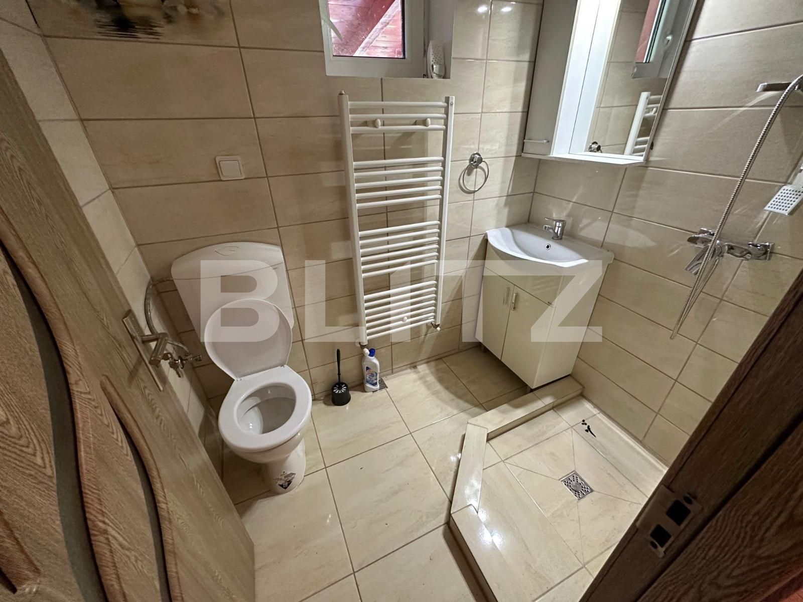 Casa de închiriat 3 camere Lipovei - 127179CI | BLITZ Timișoara | Poza6