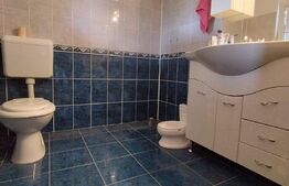 Casa 5 camere, curte frumos amenajata, 524mp teren, San Mihaiu German