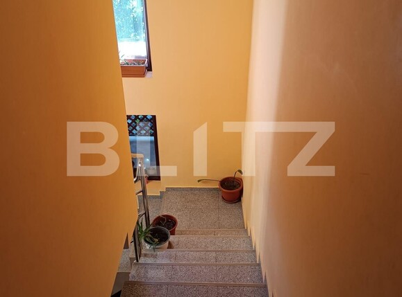 Casa de vânzare 4 camere Dumbravita - 127431CV | BLITZ Timișoara | Poza10