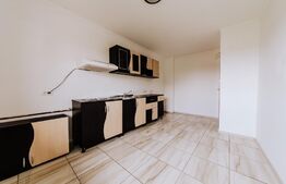 Ocazie, Vilă-Pensiune, 459mp, zona Mehala