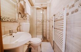 Ocazie, Vilă-Pensiune, 459mp, zona Mehala