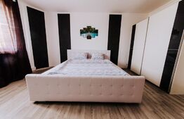 Ocazie, Vilă-Pensiune, 459mp, zona Mehala