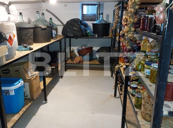 Casa de vânzare 3 camere Lunei - 127494CV | BLITZ Timișoara | Poza11