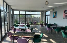 Teren intravilan cu afacere si piscina, 1000mp, Săcălaz