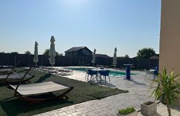 Teren intravilan cu afacere si piscina, 1000mp, Săcălaz