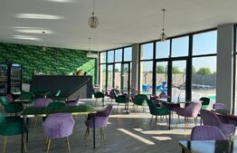 Ocazie, afacere evenimente cu restaurant, piscina, teren 1000 mp, 200mp, Salacaz