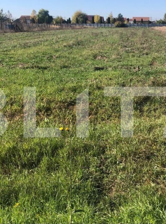 Teren de vânzare Sagului - 127706TV | BLITZ Timișoara | Poza1