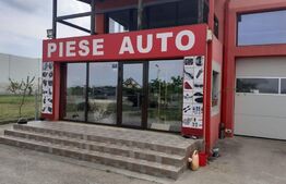 Hala de 245 mp, teren de 2198 mp, pe artera principala, Dumbravita