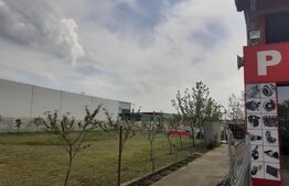 Hala de 245 mp, teren de 2198 mp, pe artera principala, Dumbravita