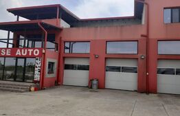 Hala de 245 mp, teren de 2198 mp, pe artera principala, Dumbravita