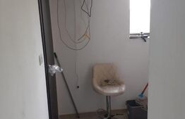 Hala de 245 mp, teren de 2198 mp, pe artera principala, Dumbravita