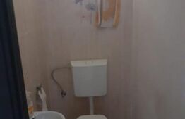 Hala de 245 mp, teren de 2198 mp, pe artera principala, Dumbravita