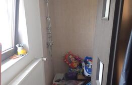 Hala de 245 mp, teren de 2198 mp, pe artera principala, Dumbravita