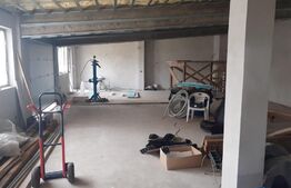 Hala de 245 mp, teren de 2198 mp, pe artera principala, Dumbravita