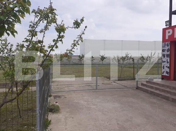 Spațiu industrial de vânzare Dumbravita - 127735SVI | BLITZ Timișoara | Poza13
