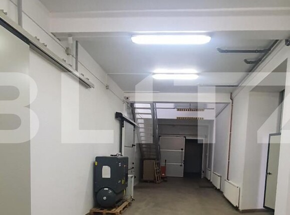 Spațiu industrial de vânzare Freidorf - 127736SVI | BLITZ Timișoara | Poza6