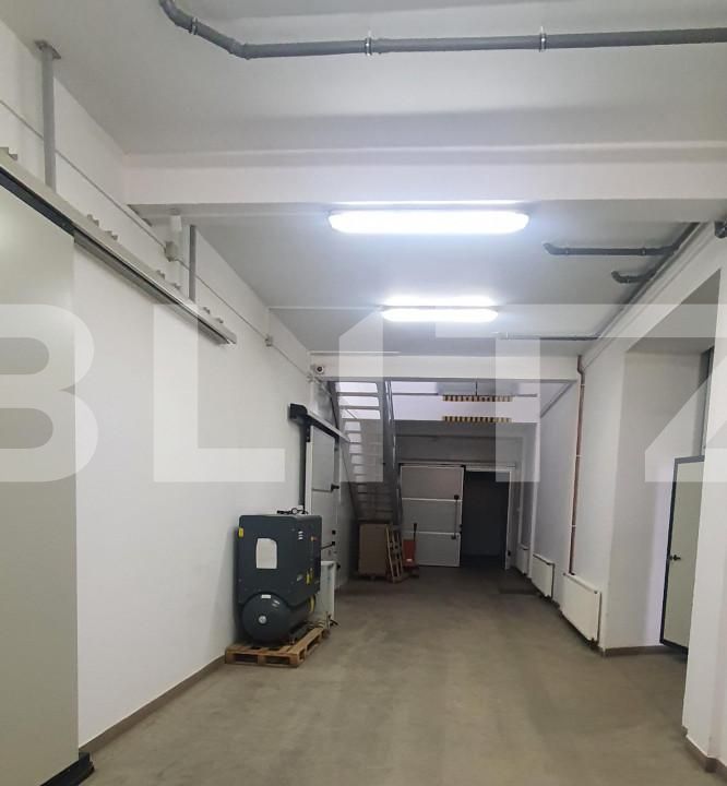 Spațiu industrial de vânzare Freidorf - 127736SVI | BLITZ Timișoara | Poza6