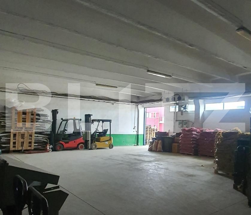 Spațiu industrial de vânzare Freidorf - 127736SVI | BLITZ Timișoara | Poza2