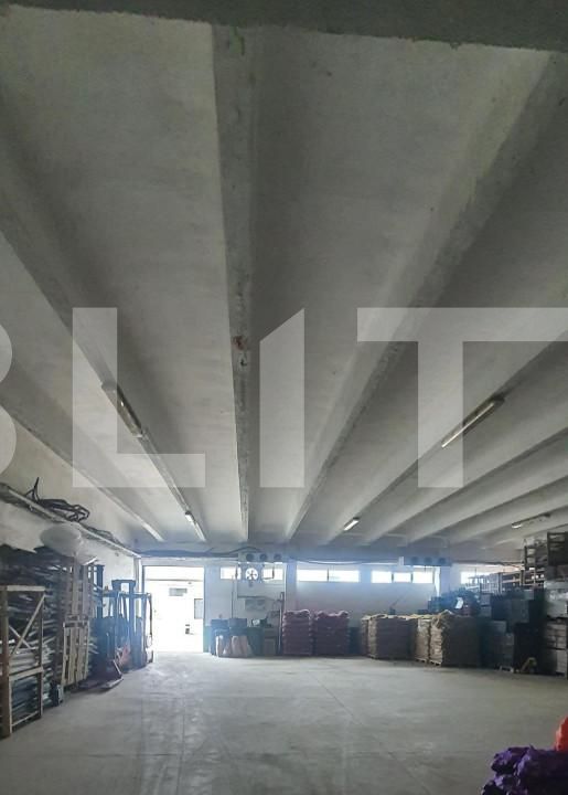 Spațiu industrial de vânzare Freidorf - 127736SVI | BLITZ Timișoara | Poza3