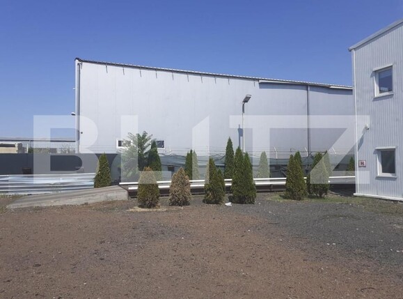 Spațiu industrial de vânzare Sagului - 127738SVI | BLITZ Timișoara | Poza3