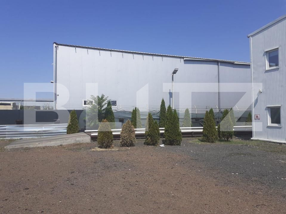 Spațiu industrial de vânzare Sagului - 127738SVI | BLITZ Timișoara | Poza3