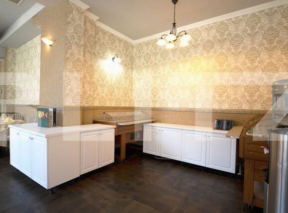 Spațiu comercial de vânzare Badea Cartan - 127742SVC | BLITZ Timișoara | Poza4