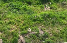 Casa individuala exclusivista, 700 mp utili, 1054 mp teren, zona Bucovina