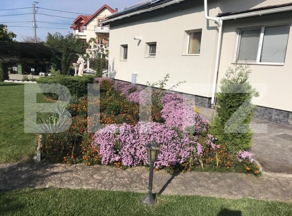 Casa de vânzare 5 camere Plopi - 127814CV | BLITZ Timișoara | Poza15