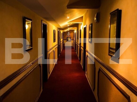 Spațiu comercial de vânzare Iosefin - 127817SVC | BLITZ Timișoara | Poza4