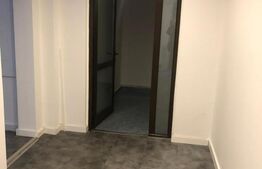 Cladire istorica in zona pietonala, 780 mp! Timisoara!