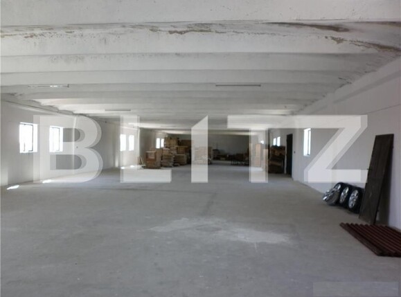 Spațiu industrial de vânzare Fratelia - 127824SVI | BLITZ Timișoara | Poza5