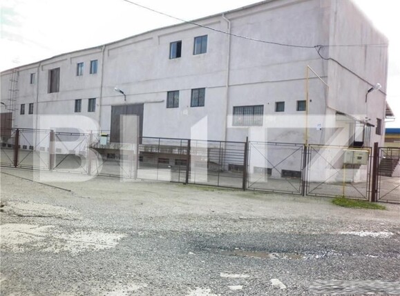 Spațiu industrial de vânzare Fratelia - 127824SVI | BLITZ Timișoara | Poza7