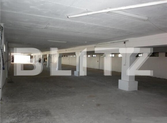 Spațiu industrial de vânzare Fratelia - 127824SVI | BLITZ Timișoara | Poza4