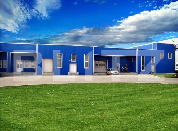 Spațiu industrial de vânzare Freidorf - 127825SVI | BLITZ Timișoara | Poza3