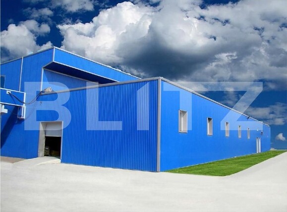Spațiu industrial de vânzare Freidorf - 127825SVI | BLITZ Timișoara | Poza2