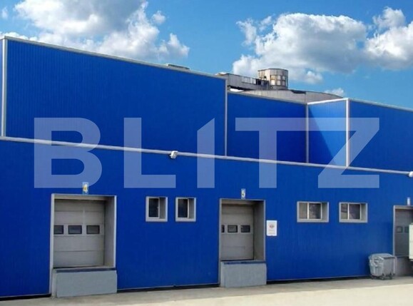 Spațiu industrial de vânzare Freidorf - 127825SVI | BLITZ Timișoara | Poza4
