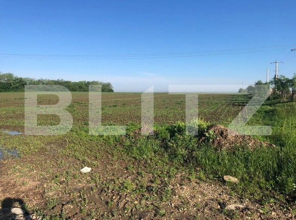 Teren de vânzare Giarmata - 127900TV | BLITZ Timișoara | Poza1