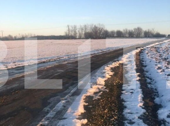 Teren de vânzare Nord - 127916TV | BLITZ Timișoara | Poza1