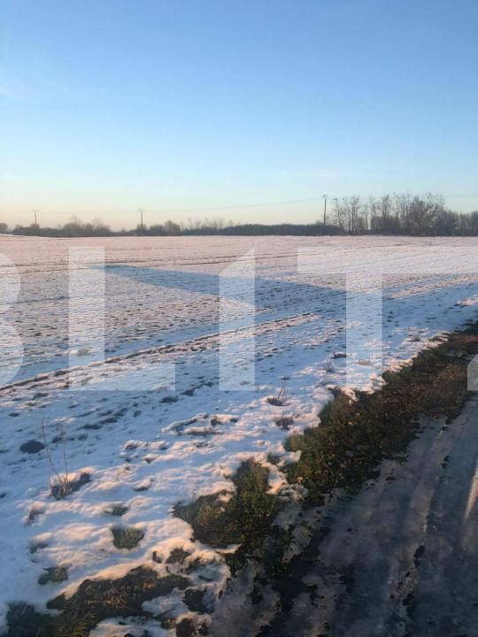 Teren de vânzare Nord - 127916TV | BLITZ Timișoara | Poza2