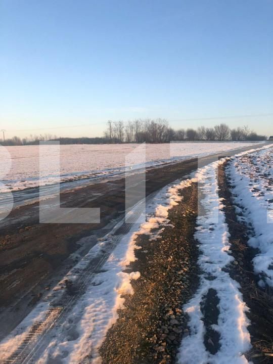 Teren de vânzare Nord - 127916TV | BLITZ Timișoara | Poza1