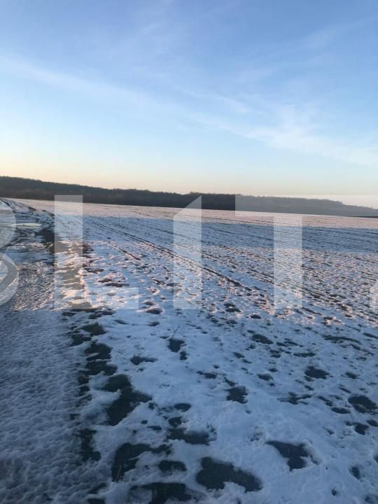 Teren de vânzare Nord - 127917TV | BLITZ Timișoara | Poza1