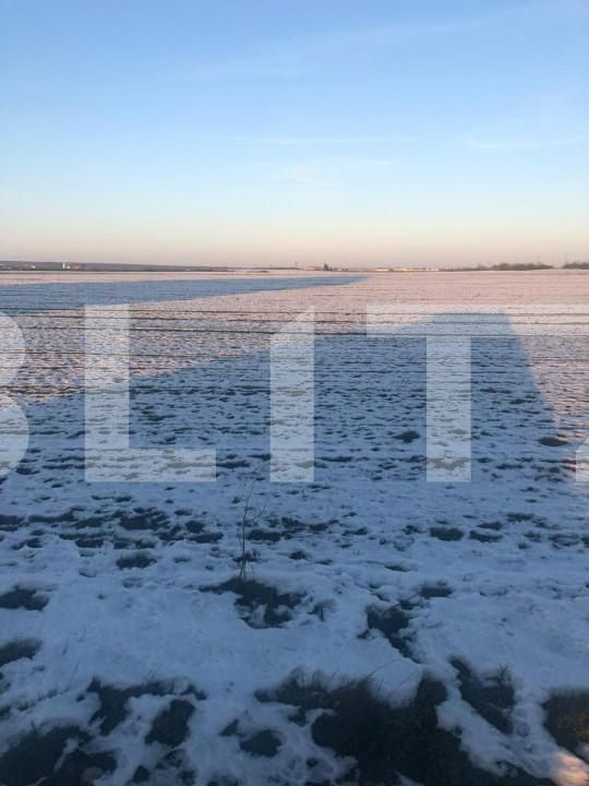 Teren de vânzare Nord - 127917TV | BLITZ Timișoara | Poza2