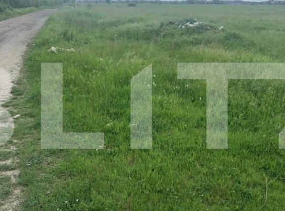 Teren de vânzare Central - 127998TV | BLITZ Timișoara | Poza1