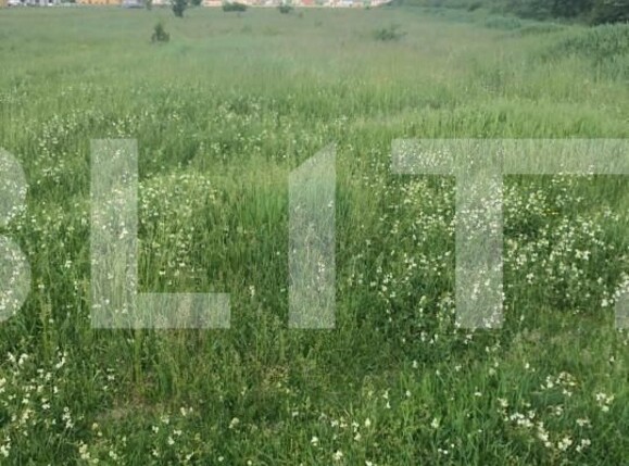 Teren de vânzare Central - 127998TV | BLITZ Timișoara | Poza2