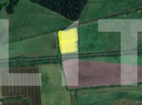 Teren de vânzare Pischia - 128002TV | BLITZ Timișoara | Poza1