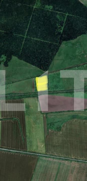 Teren de vânzare Pischia - 128002TV | BLITZ Timișoara | Poza1