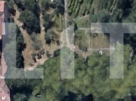 Teren de vânzare Balcescu - 128006TV | BLITZ Timișoara | Poza1